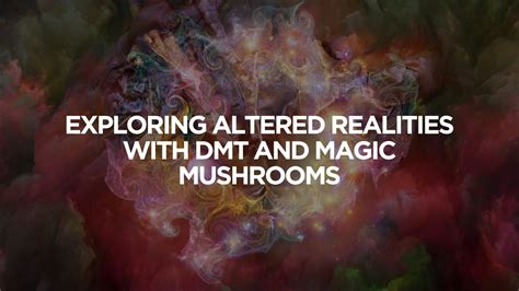 Personal Transformation: How a Magic Mushroom Habit Can Lead to Lasting Change